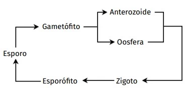 FATEC 2020