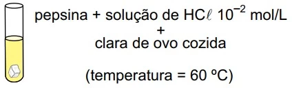 UNESP 2016/2
