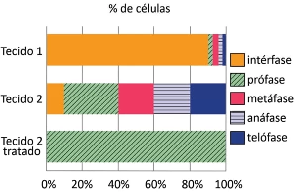Questão 11 - FUVEST 2022