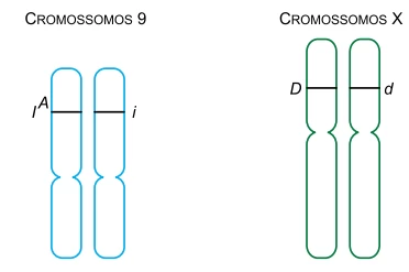 Questão 67 - UNESP 2024