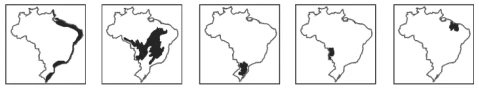 Questão 47 - FUVEST 2014
