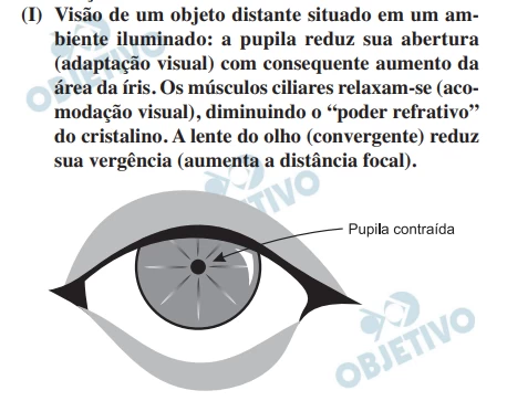 Questão 14 - FUVEST 2012