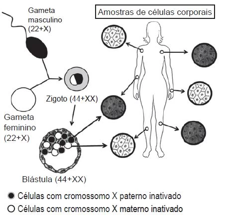 Questão 125 - ENEM 2022 - Caderno Azul