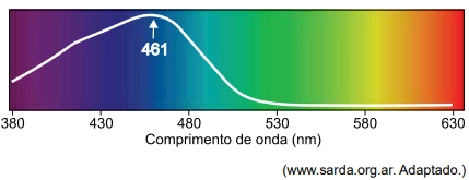 Questão 80 - UNESP 2024