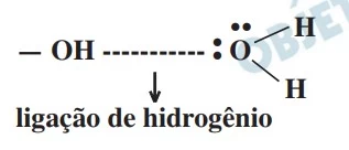 UNICAMP 2017