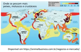 Questão 70 - FUVEST 2024