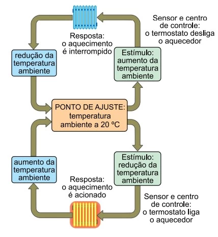 UNESP 2018/2