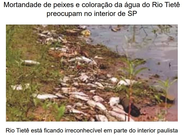 UNESP 2020