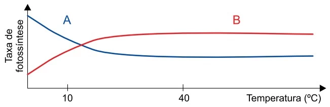 UNESP 2021