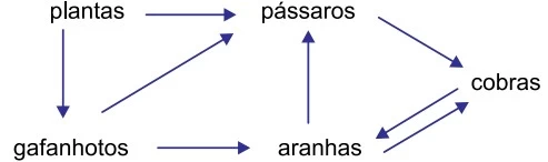 UNESP 2022