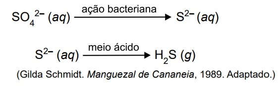 UNESP 2018