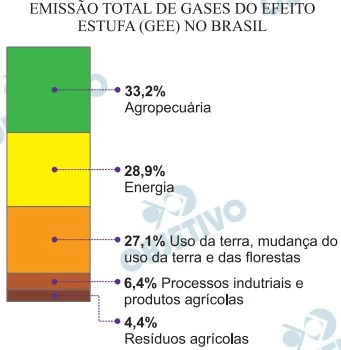 FUVEST 2023