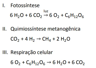 Questão 46 - FUVEST 2018