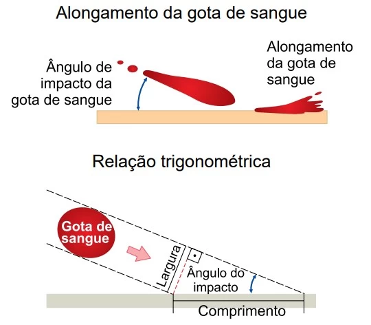 UNESP 2020