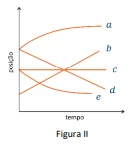 Questão 50 - FUVEST 2024