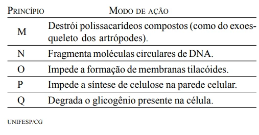 UNIFESP 2004