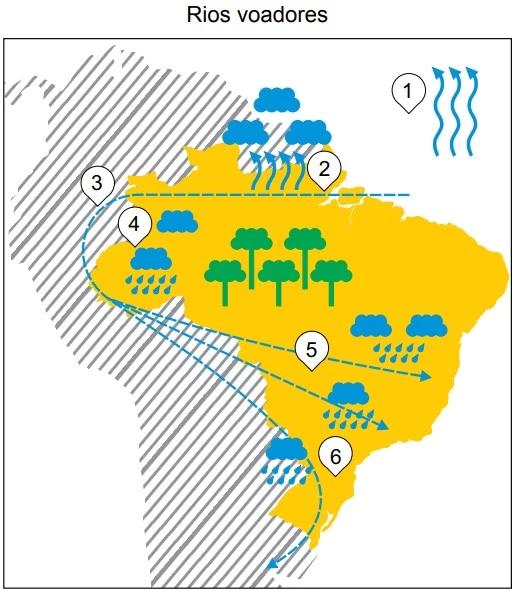 UNESP 2017/2