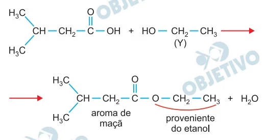 UNESP 2022