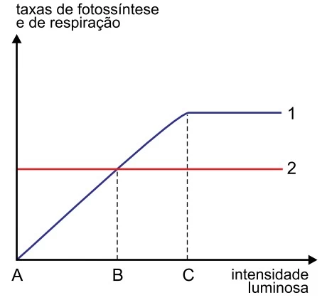 UNESP 2018