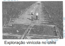 Questão 85 - Enem 2009 - Caderno Azul