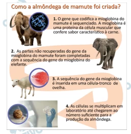 Questão 18 - FUVEST 2023