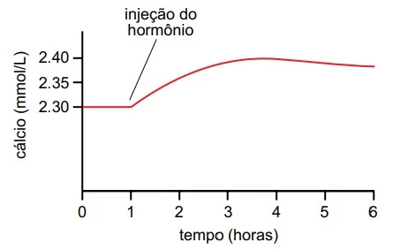 UNESP 2016/2