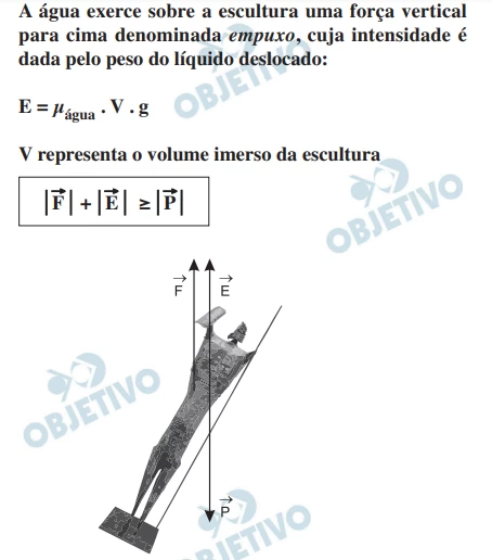Questão 81 - Enem 2010 - Caderno Azul