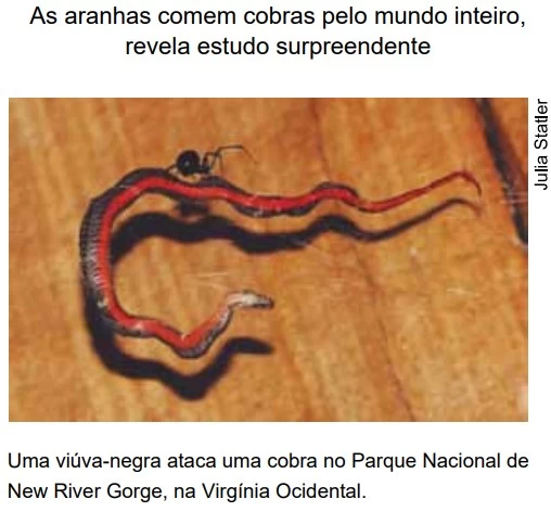 UNESP 2022