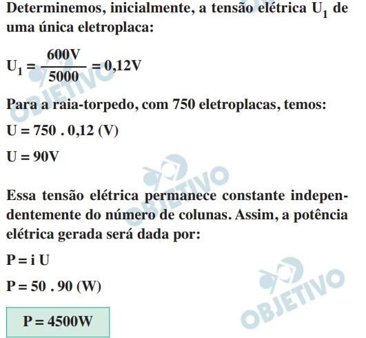 UNESP 2020