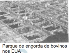 Questão 85 - Enem 2009 - Caderno Azul