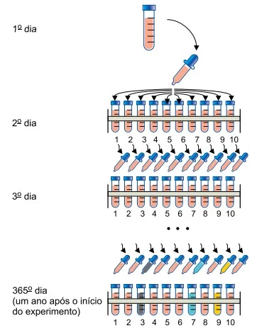 UNESP 2022