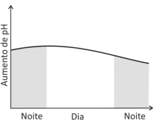 Questão 21 - FUVEST 2018