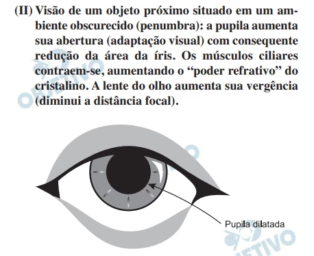 Questão 14 - FUVEST 2012