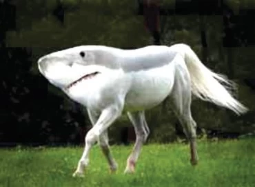 UNESP 2022