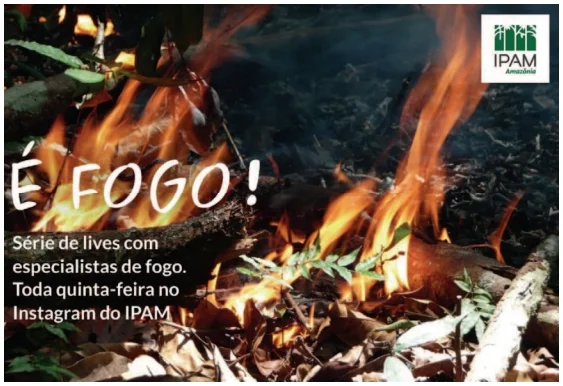 Questão 05 - FUVEST 2021 - Português