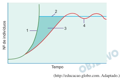 Questão 31 - FGV 2020