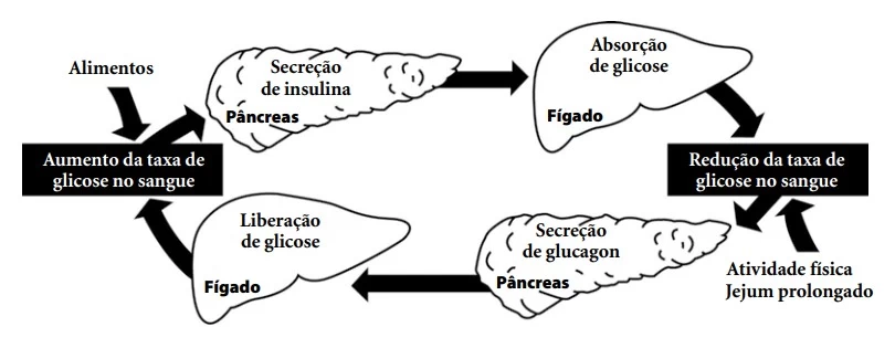 FATEC 2015
