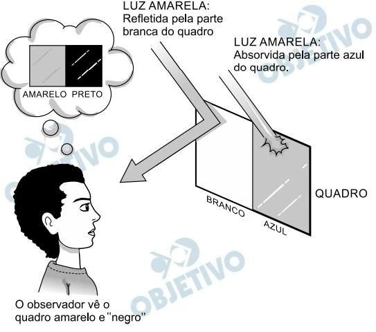 UNICAMP 2016