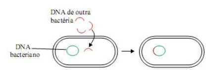 Questão 07 - VUNESP 2012