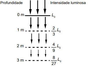 Questão 169 - ENEM 2023 - Caderno Azul