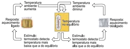 UNESP 2022