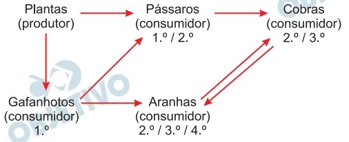 UNESP 2022