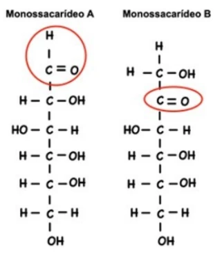 Aap2 - Bioquímica Aplicada À Saúde