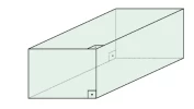 Questão 48 - FUVEST 2024
