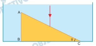 Questão 101 - FGV 2020