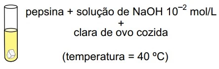 UNESP 2016/2