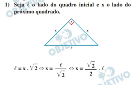 Questão 63 - FUVEST 2024