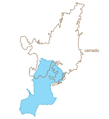 UNESP 2018