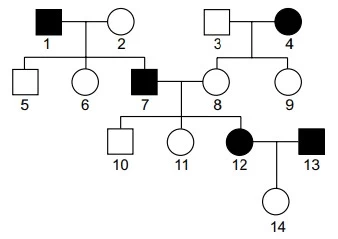 FAMERP 2015