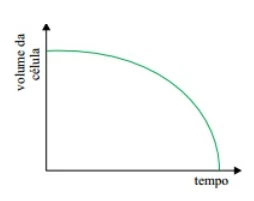 Questão 04 - VUNESP 2012